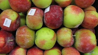 Fresh Healthy Apples