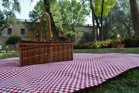 Pic-Nic Field Day Basket Food