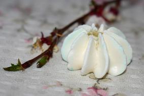 Dessert Tenderness Sweets