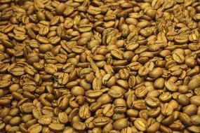 Coffee beans roasted delicious