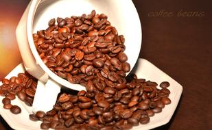 Coffee Beans Roasted