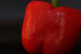 wet pepper