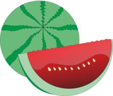 pattern of striped watermelon