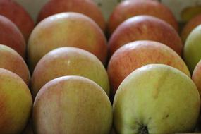 Apples Fruits
