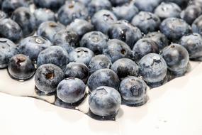 black berries are sweet