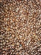 Coffee Beans Fresh Tanzania