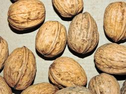 Delicious ripe nuts