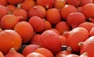 ripe orange pumpkin