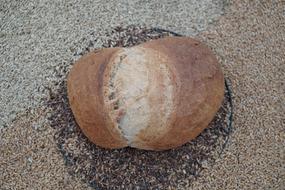 Grain bread is delicious