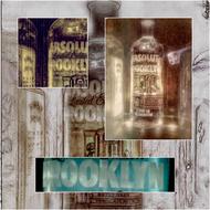 glass bottles of vodka
