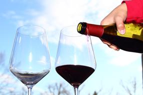 wine in glass in nature