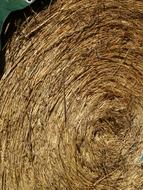 wheat bale