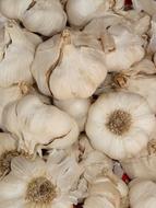 fragrant garlic clove