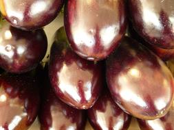 ripe delicious eggplants