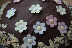 chocolate cake decorated