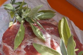 raw meat with herbs