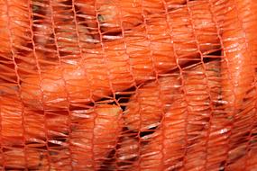 bagged carrots