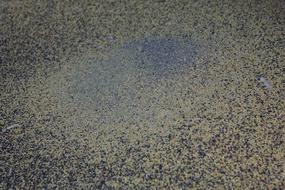 close up of the grain