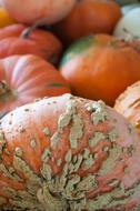 Agriculture Autumn Background