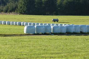 plastic slides in field
