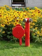 Fire water Hydrant in garden