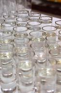 glass beakers with liquid