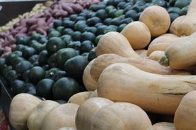 fresh vegetables sale