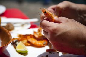 shrimp cleaning