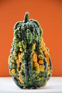 weird pumpkin