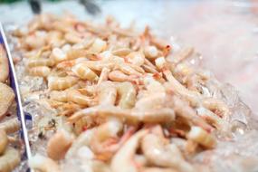 frozen shrimp