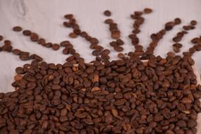 brown fried grains