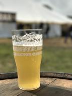 fresh beer in glass