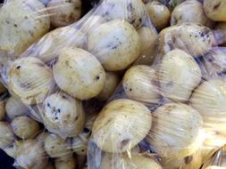 potatoes in bag