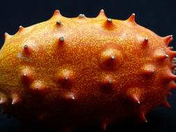 Kiwano Fruit Horn Cucumber
