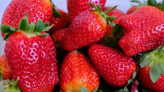 sweet red berry