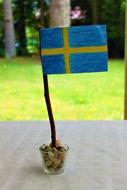 painted swedish flag