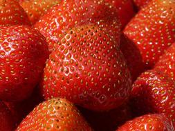 fragrant strawberries