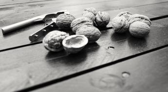 pureed nuts