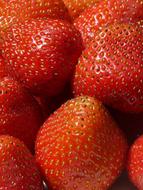 strawberries sweet background