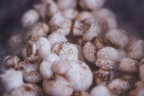 Mushrooms Vegetables