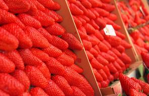 strawberry sale