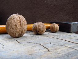walnuts on table