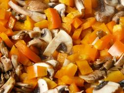 vegetable stew with mushrooms