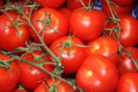 Tomatoes Vegetables