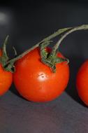 Tomato Red Vegetables