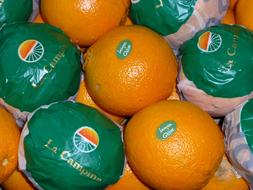Oranges Fruit Citrus