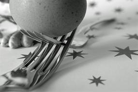 egg fork
