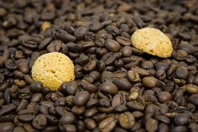 pile of coffee beans