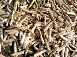 rural crop dry