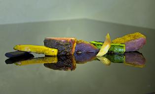 duck in vegetables